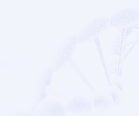 emc易倍·(中国)体育官方网站-EMC SPORTS